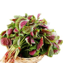蔬菜配送 宏鸿农产品集团 在线咨询 小区蔬菜配送图片